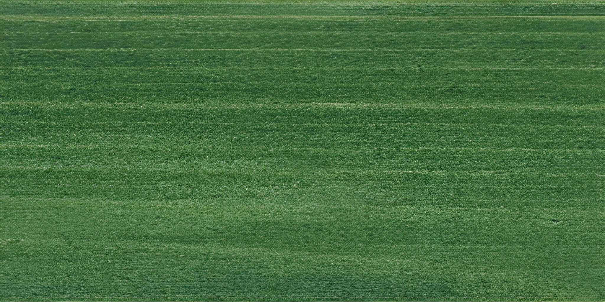 SAICOS Holzlasur 0060 Tannengrün, 0,125 Liter SAICOS Holzlasur 0060 Tannengrün, 0,125 Liter